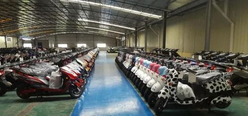 1個月12家電動車廠退出市場，失敗企業(yè)的共同特征分析