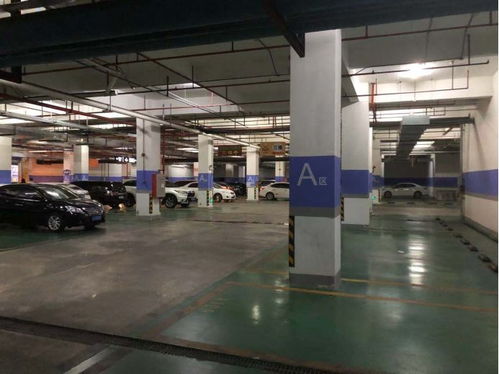 疫情下的大灣區小城 口罩成“通行證”，進超市需測體溫，日用商品價格穩定，家用電器銷售現分化